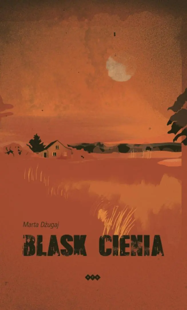 Książka - Blask cienia