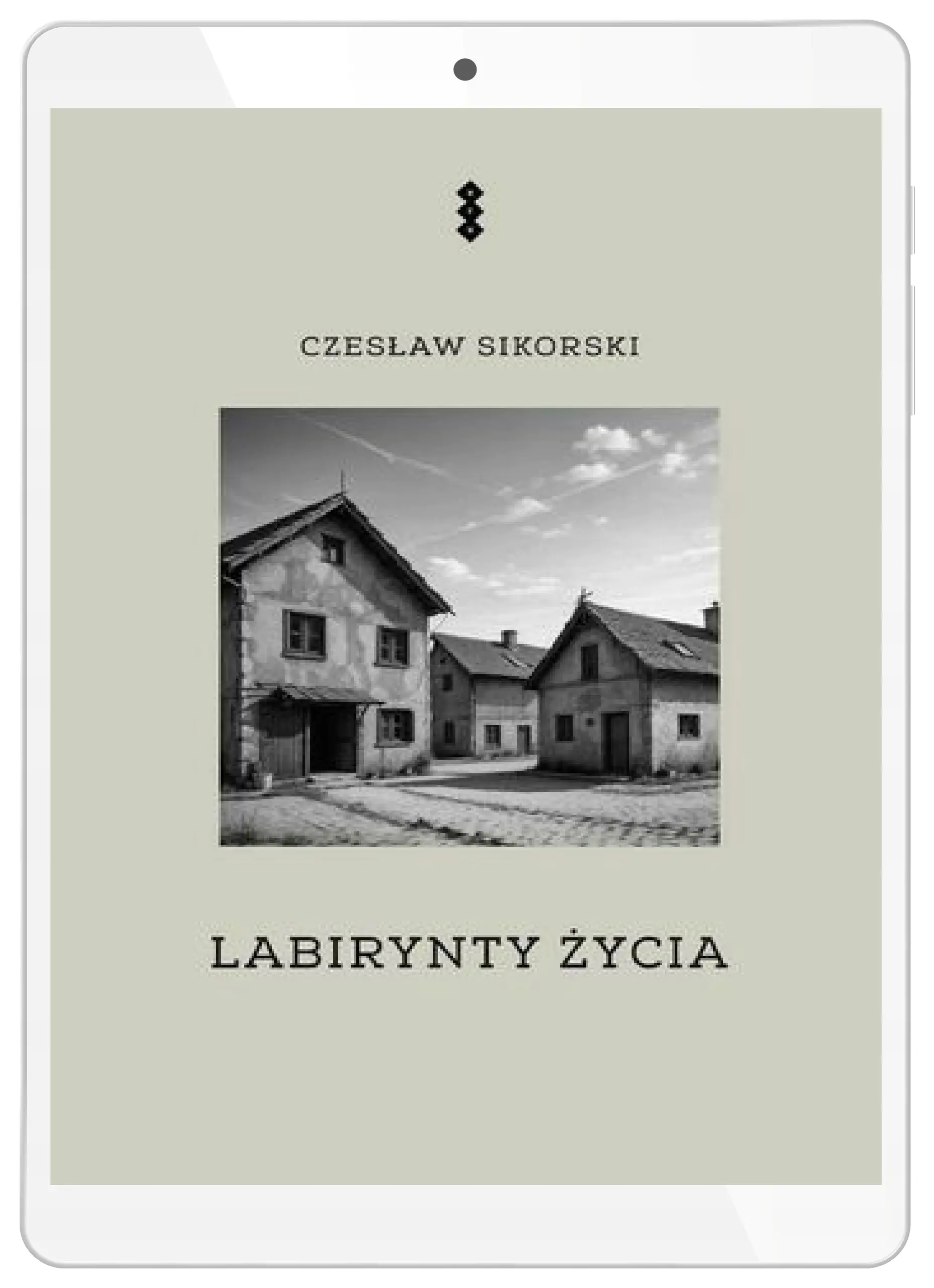 Książka - Labirynty życia