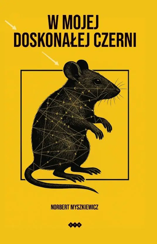 Książka - W mojej doskonałej czerni
