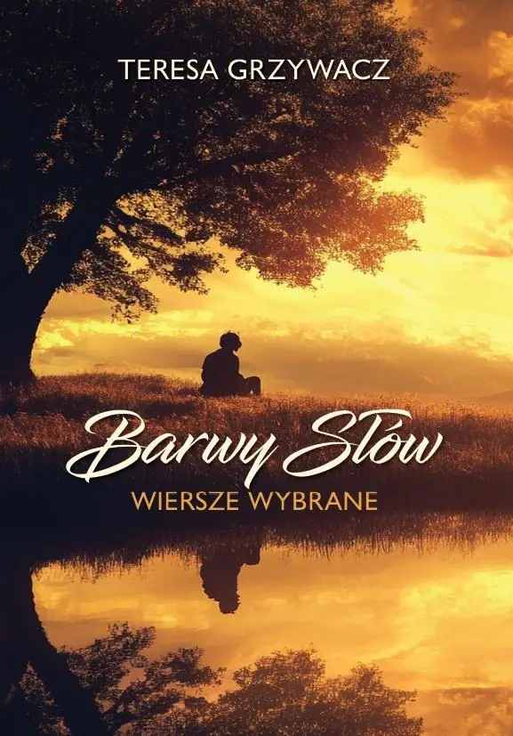 Książka - Barwy słów