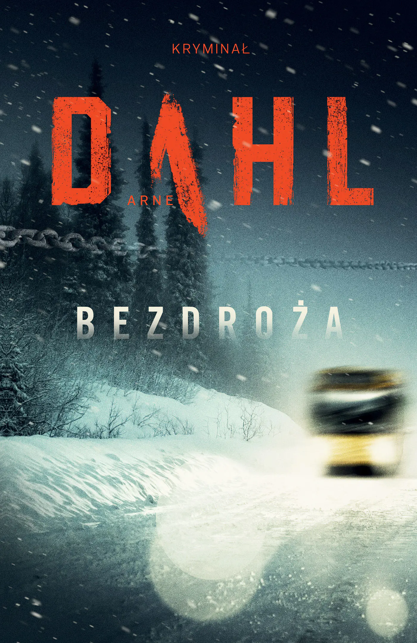 Książka - Bezdroża