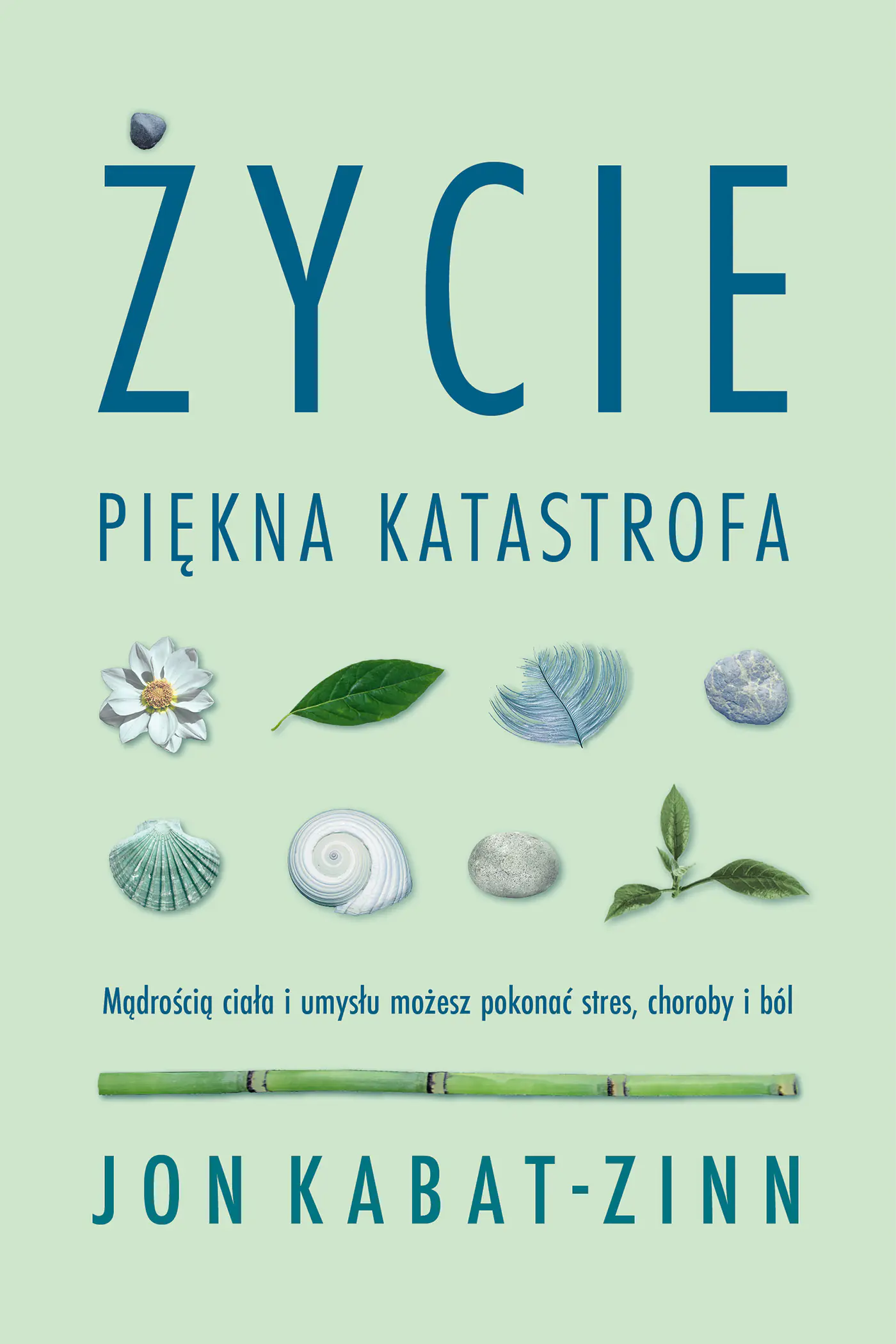Książka - Życie, piękna katastrofa