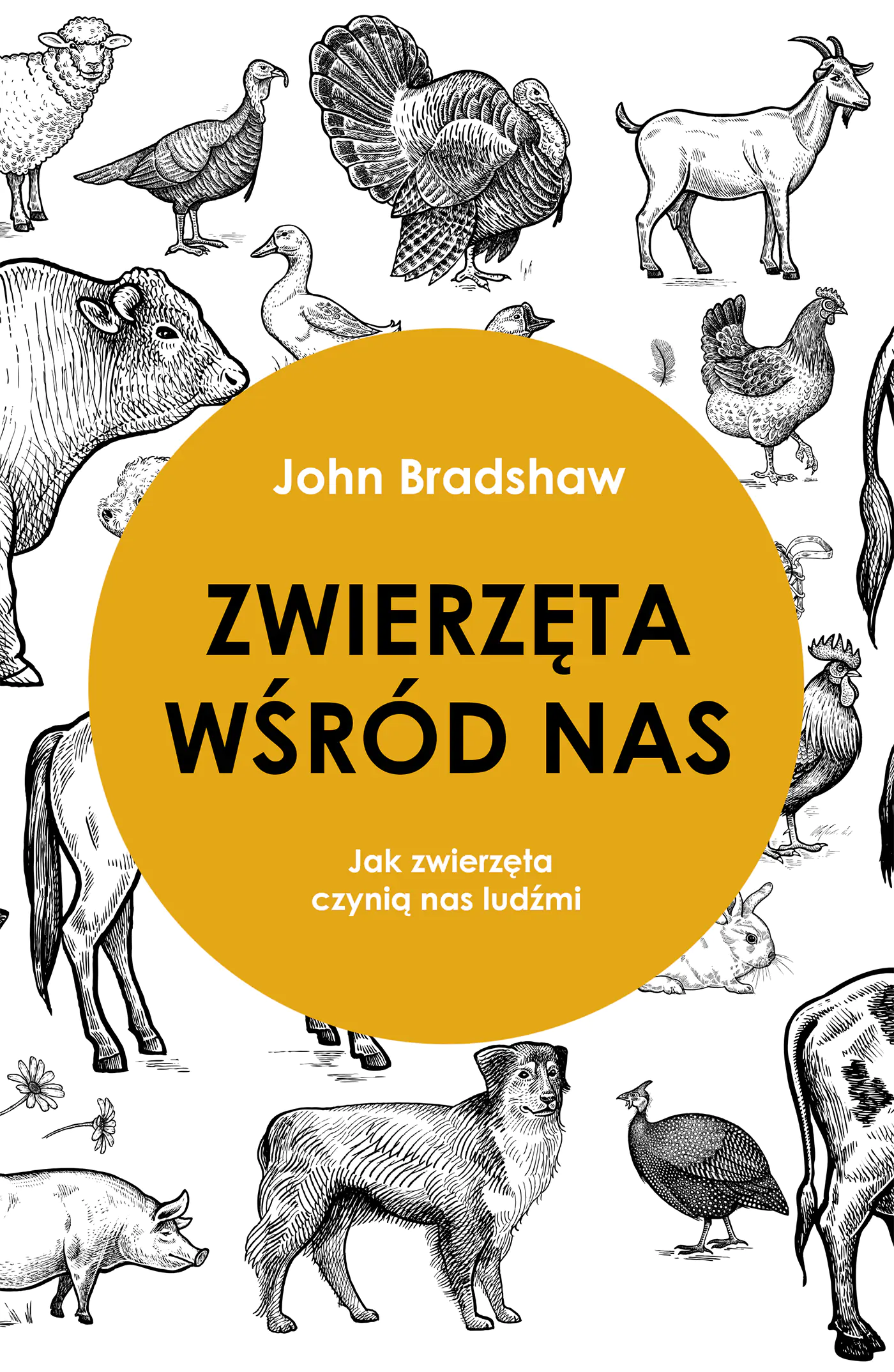 Książka - Zwierzęta wśród nas