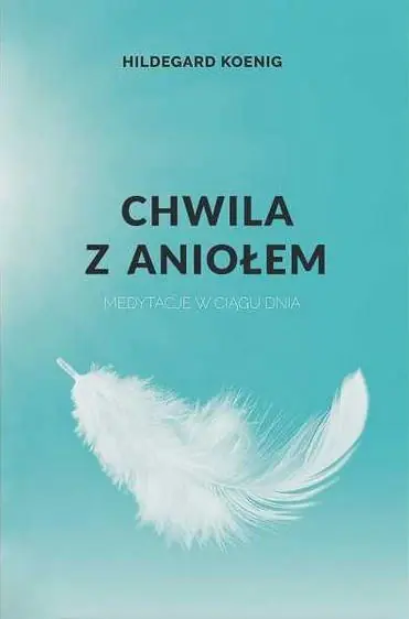 Książka - Przerwa z aniołem. Medytacje w ciągu dnia