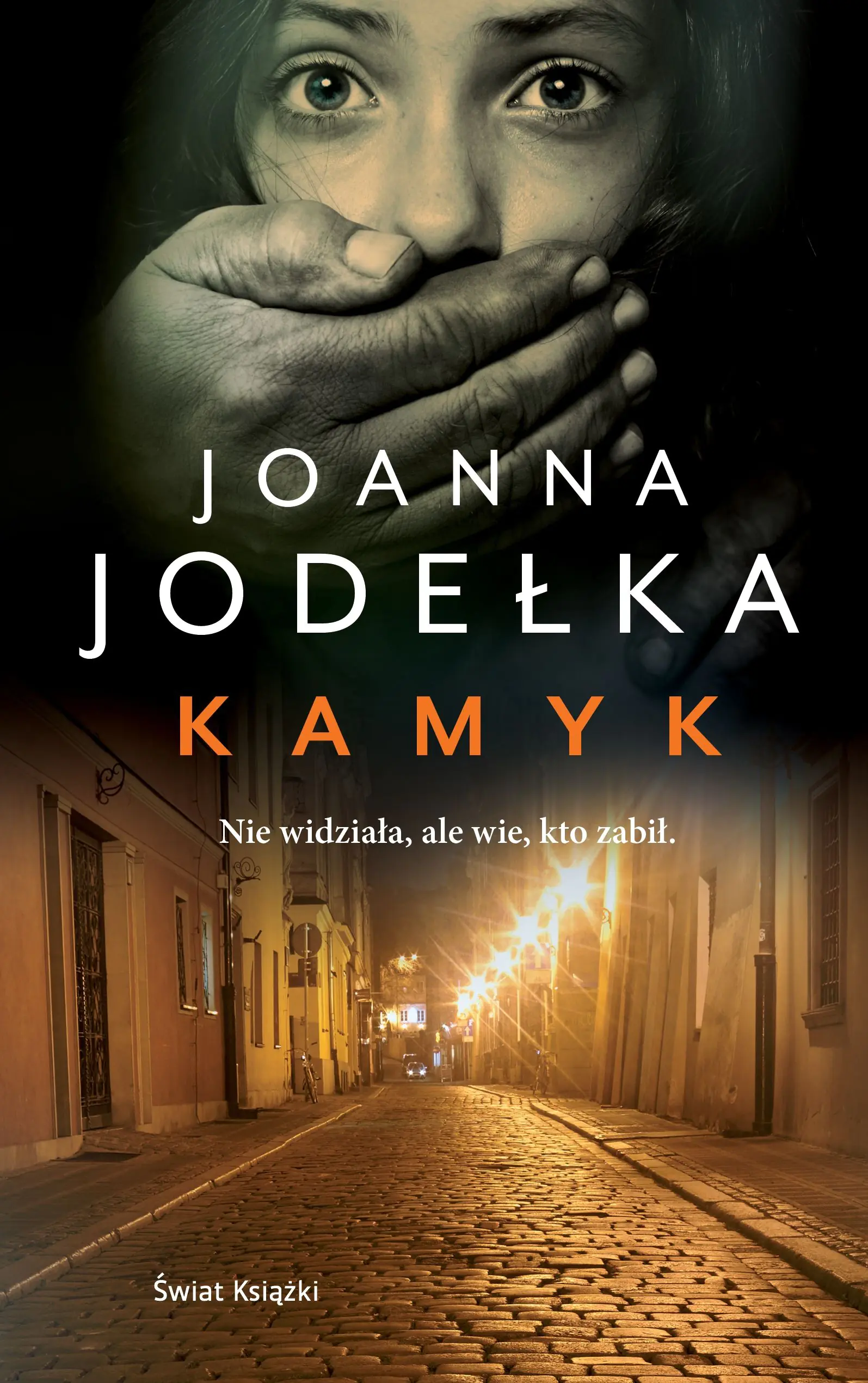 Książka - Kamyk