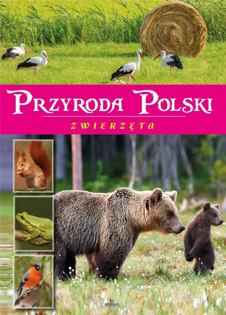 Książka - Przyroda Polski. Zwierzęta