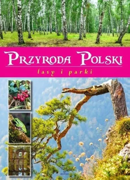 Książka - Przyroda Polski Lasy i Parki