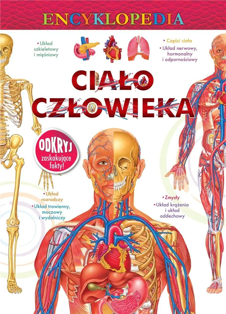 Książka - Encyklopedia. Ciało człowieka