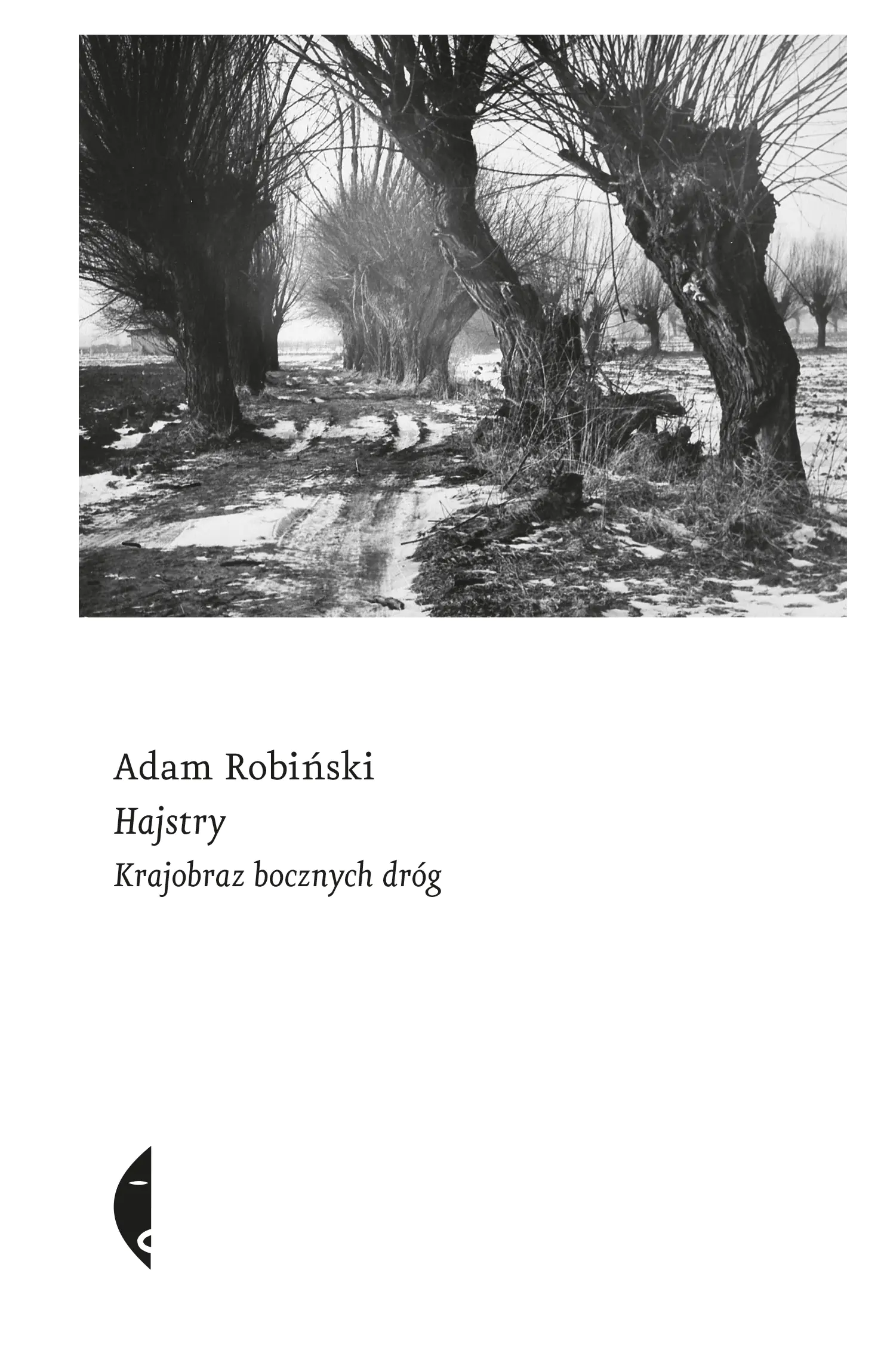 Książka - Hajstry. Krajobraz bocznych dróg