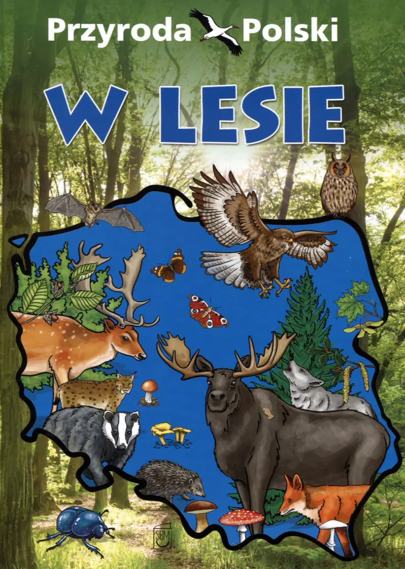 Książka - Przyroda Polski. W lesie