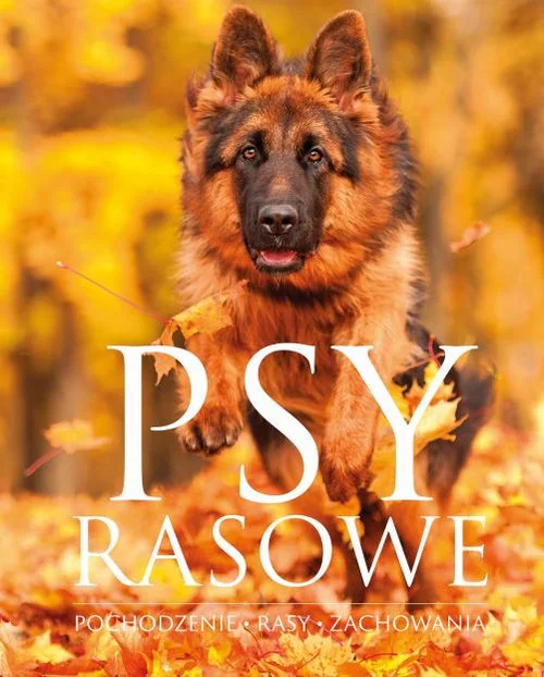 Książka - Psy rasowe