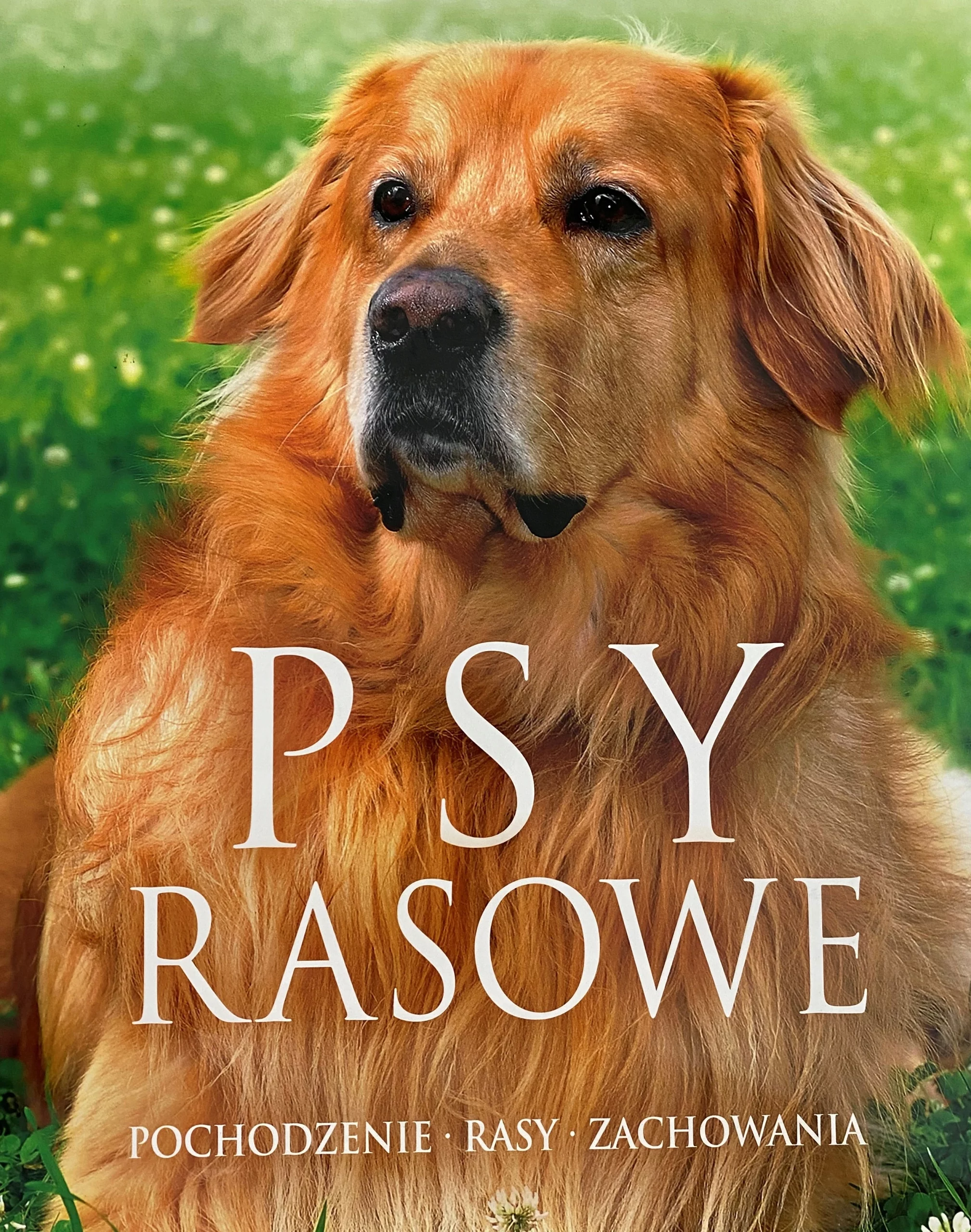 Książka - Psy rasowe. Pochodzenie. Rasy. Zachowania