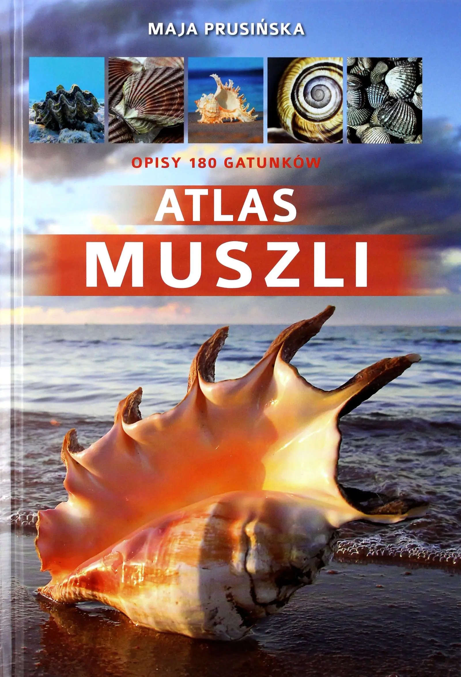 Książka - Atlas muszli