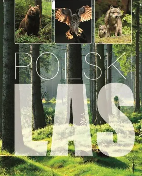 Książka - Polski las