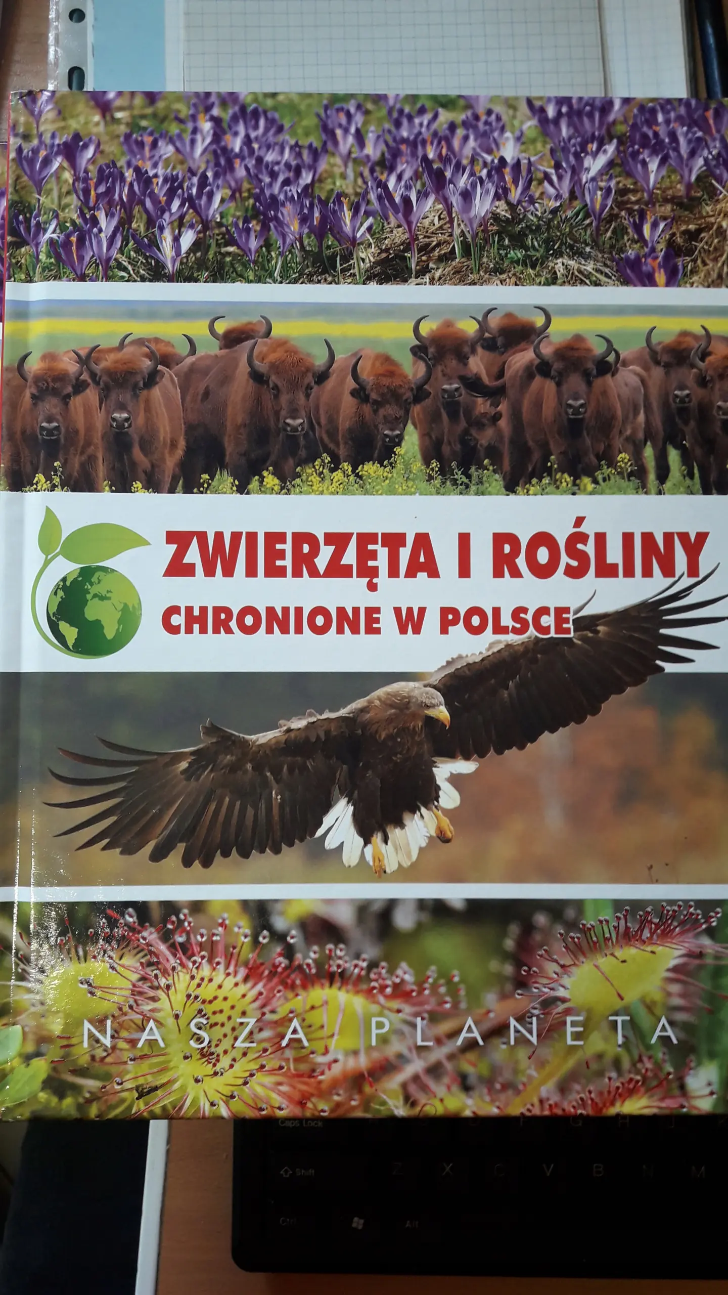Książka - Zwierzęta i rośliny chronione w Polsce