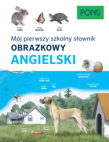 Książka - Mój pierwszy szkolny słownik obrazkowy. Angielski