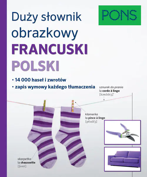 Książka - Duży słownik obrazkowy francusko-polski