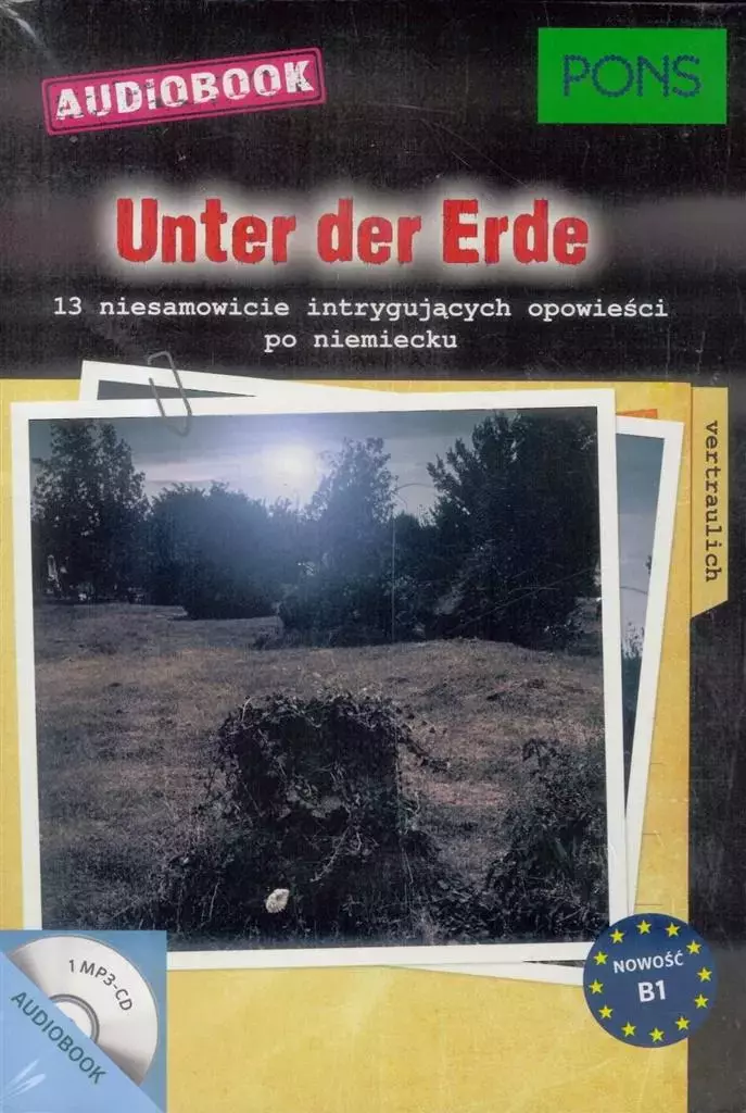 Książka - Unter der Erde