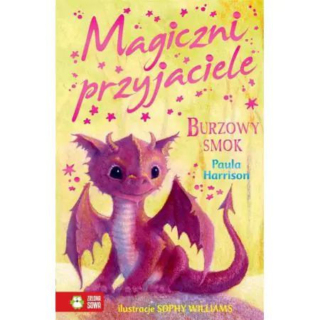 Burzowy smok. Magiczni przyjaciele