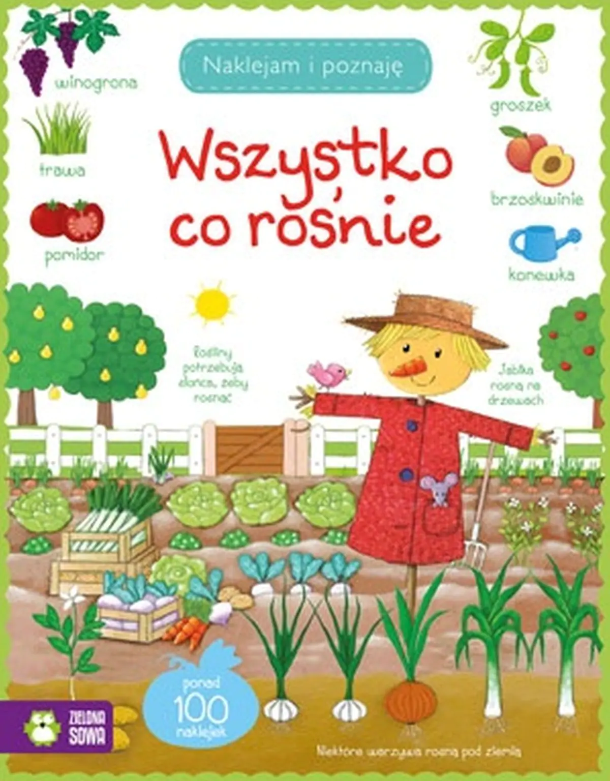 Książka - Naklejam i poznaję. Wszystko, co rośnie