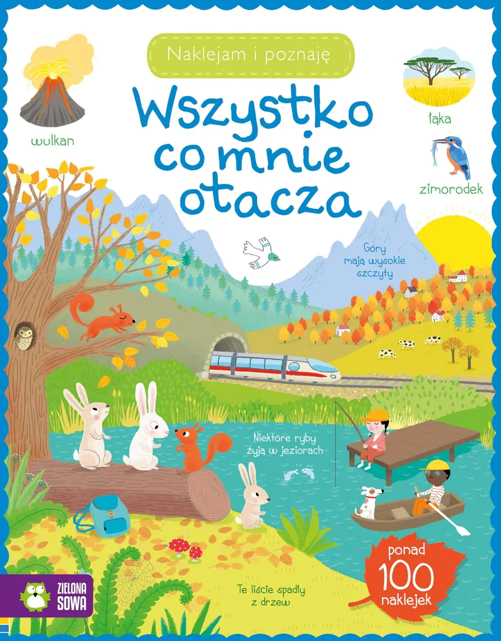 Książka - Naklejam i poznaję. Wszystko, co mnie otacza