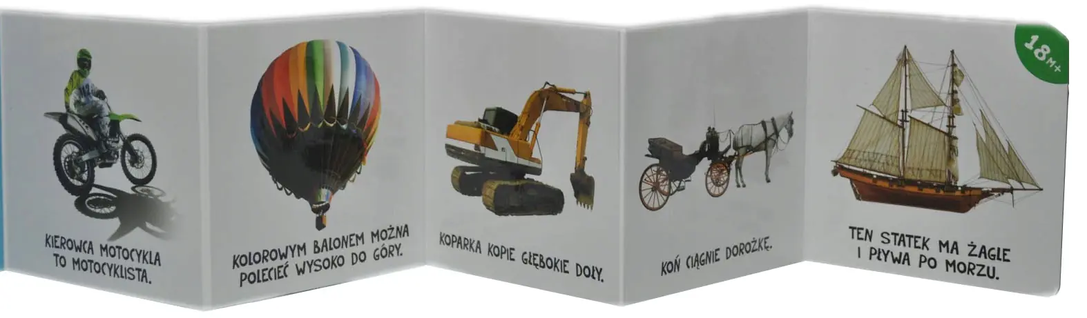 Książka - Rosnę i poznaję harmonijnie. Pojazdy