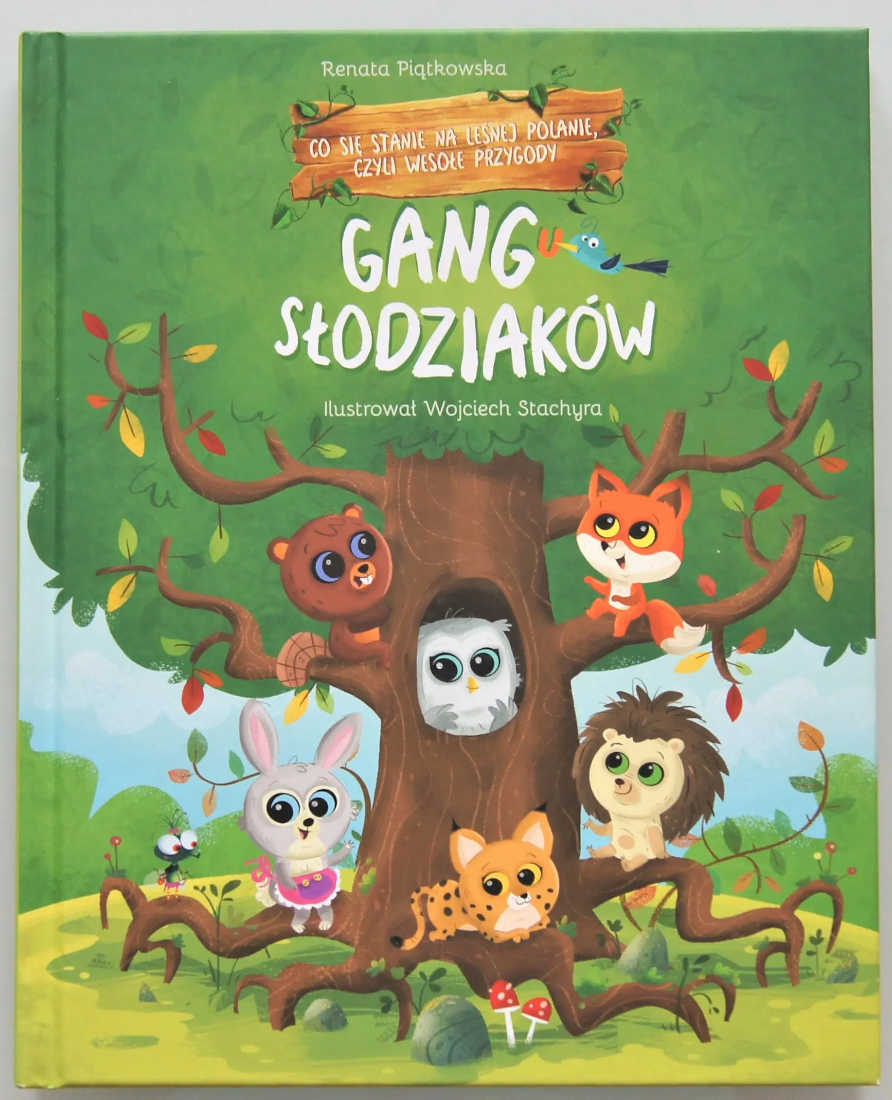 Książka - Gang Słodziaków