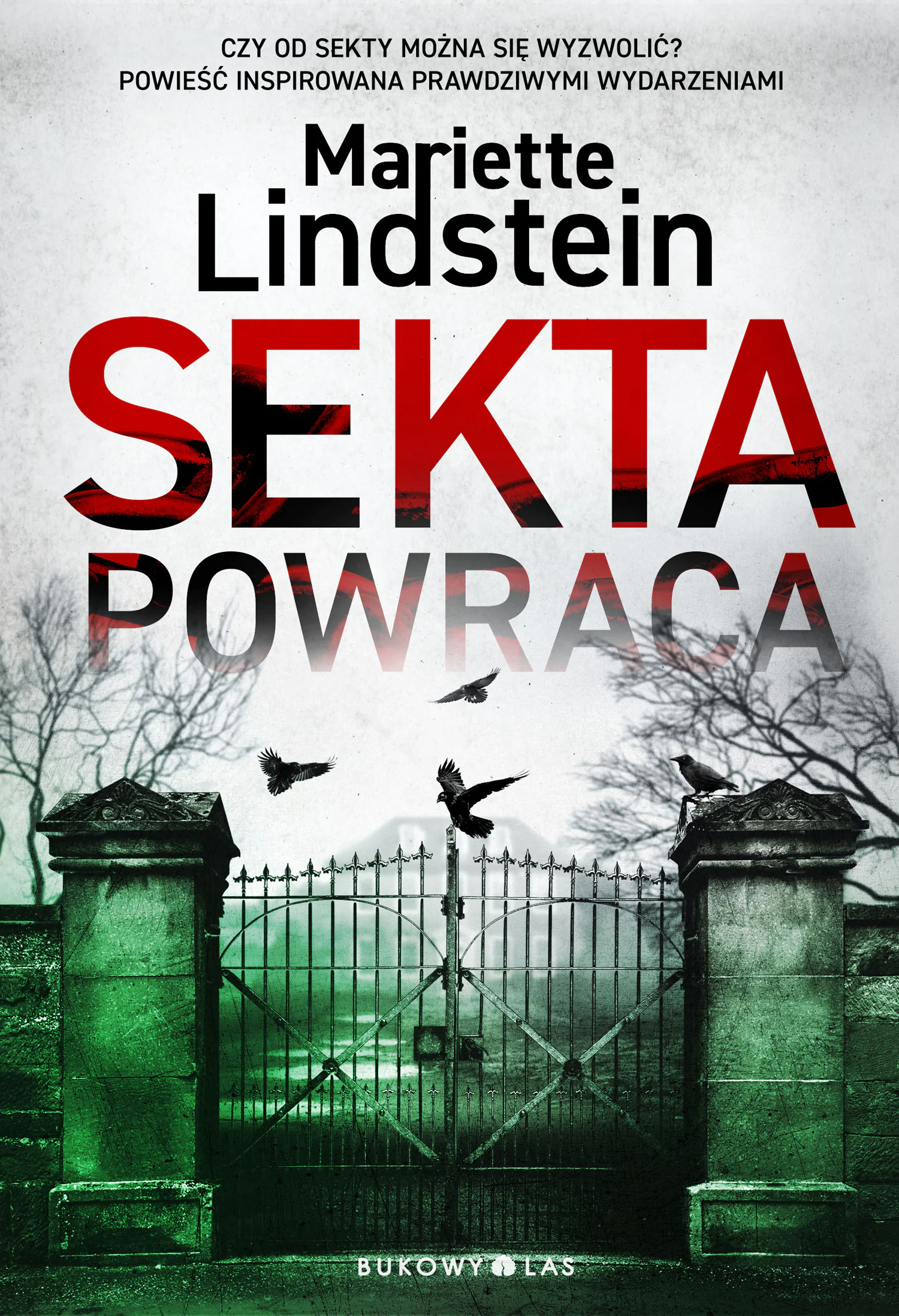 Książka - Sekta powraca. Sekta ViaTerra. Tom 2