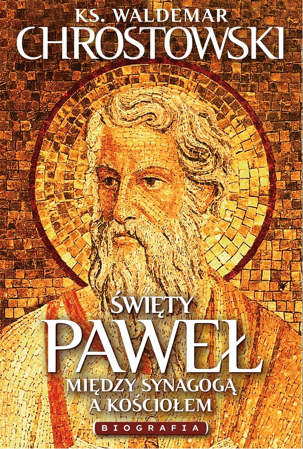 Książka - Święty Paweł. Biografia. Między Synagogą a Kościołem