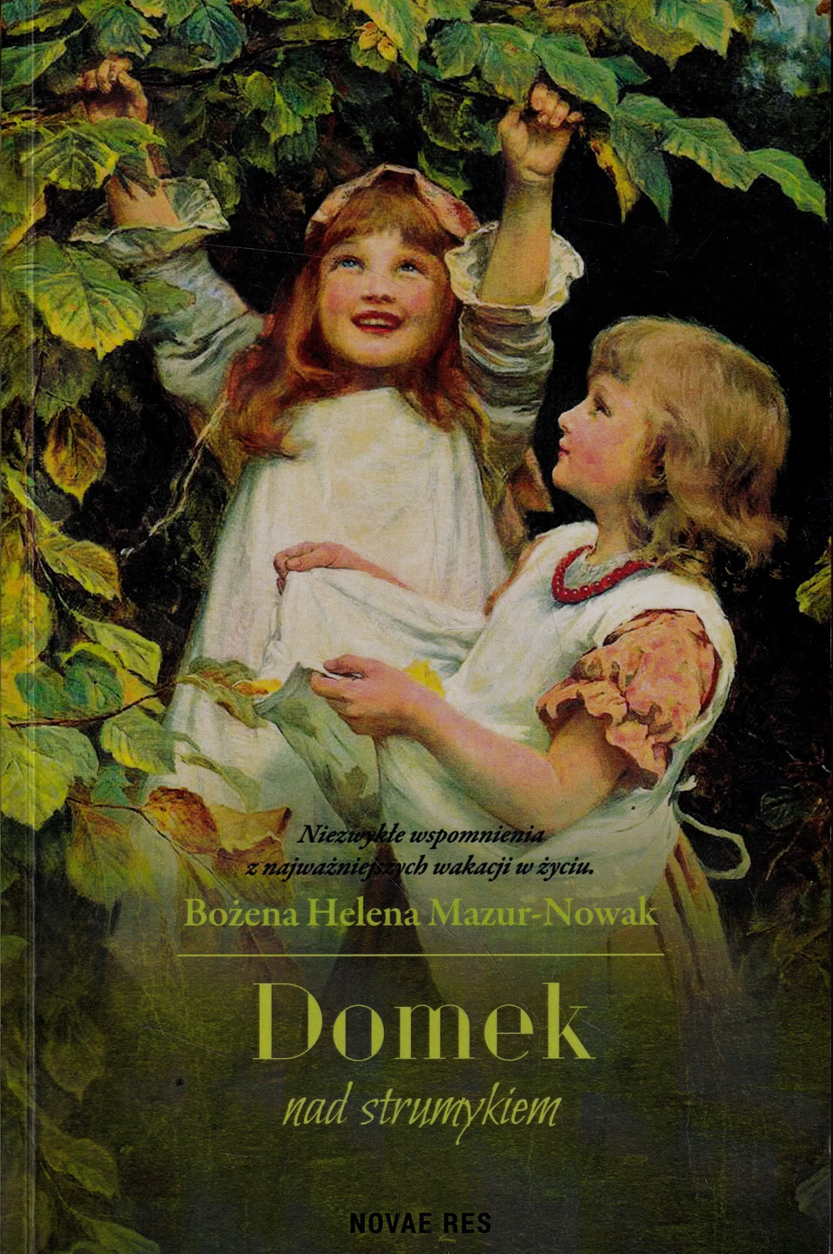 Książka - Domek nad strumykiem