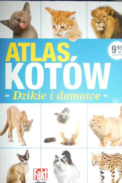 Książka - Atlas kotów. Dzikie i domowe