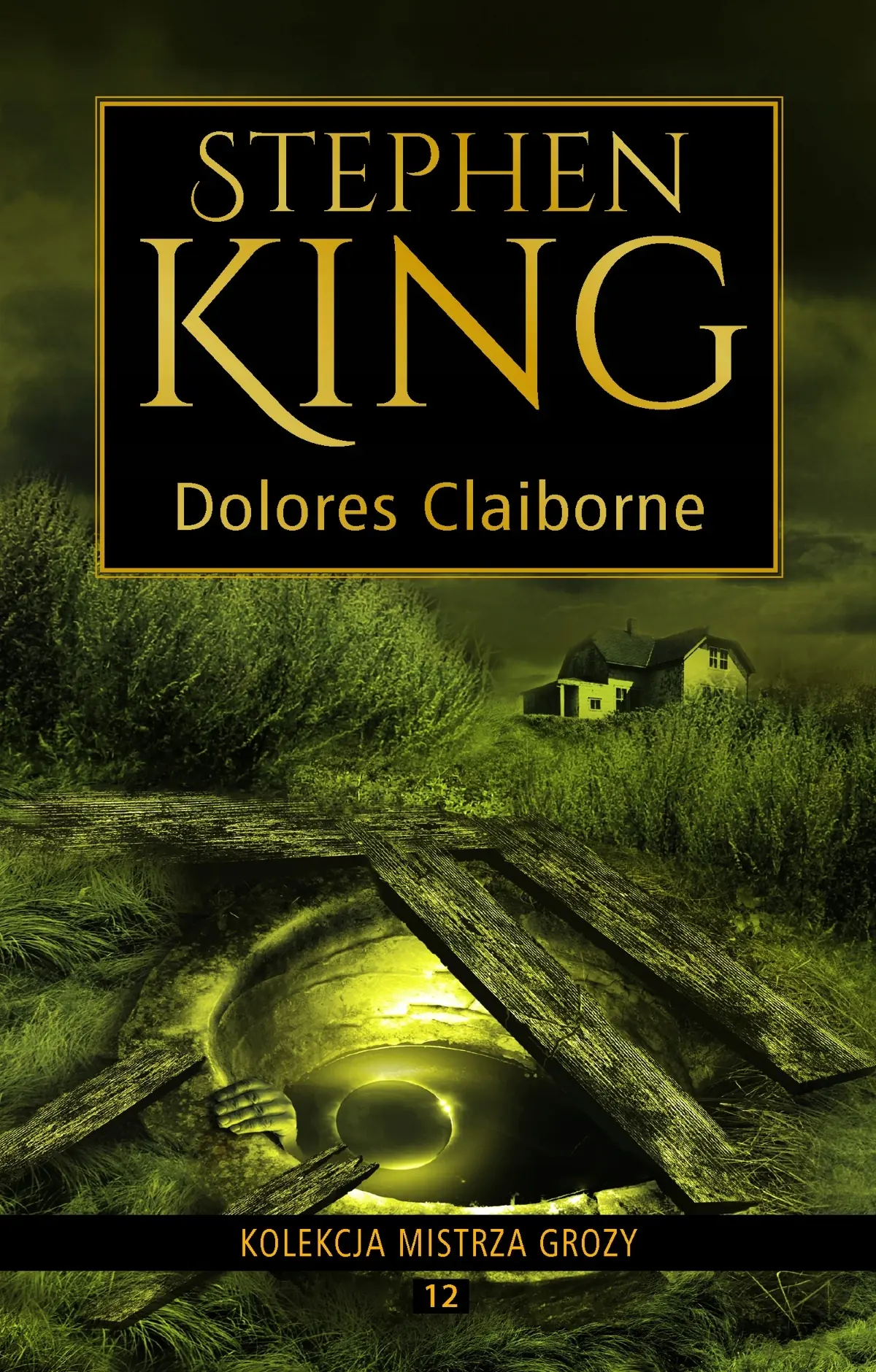Książka - Dolores Claiborne