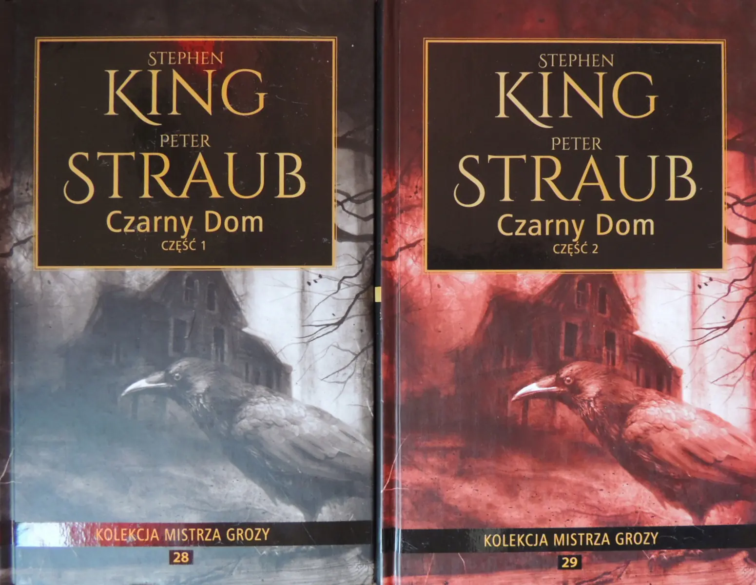 Książka - Czarny dom. Część 1