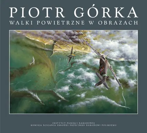 Książka - Walki powietrzne w obrazach
