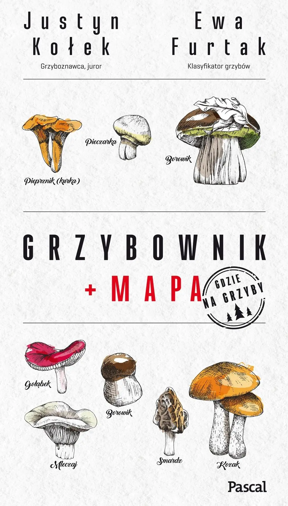 Książka - Grzybownik + mapa