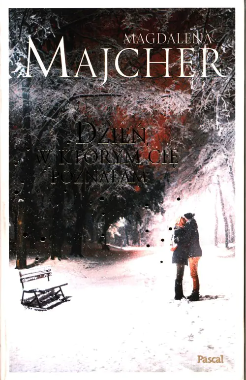 Książka - Dzień, w którym Cię poznałam