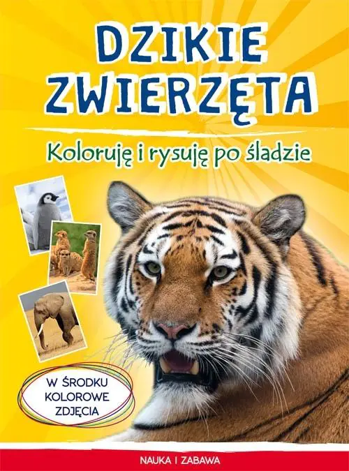 Książka - Dzikie zwierzęta. Koloruję i rysuję po śladzie