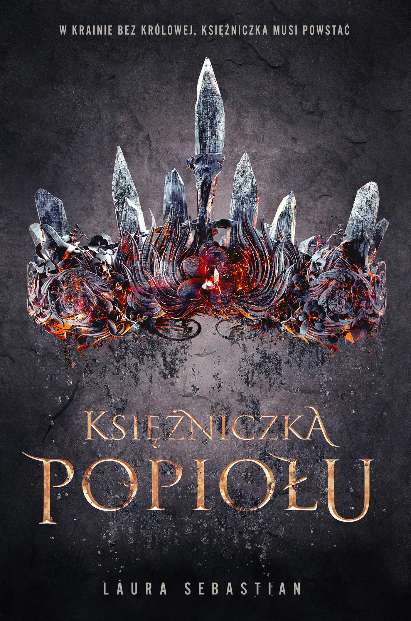 Książka - Księżniczka Popiołu