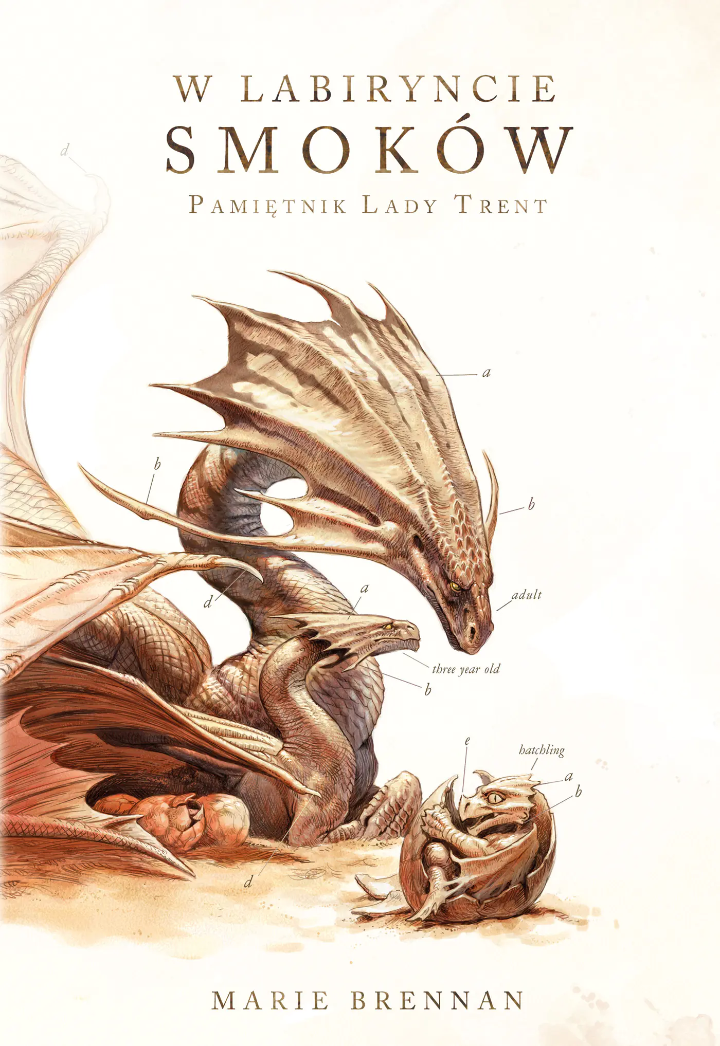 Książka - W labiryncie smoków. Pamiętnik Lady Trent. Tom 4