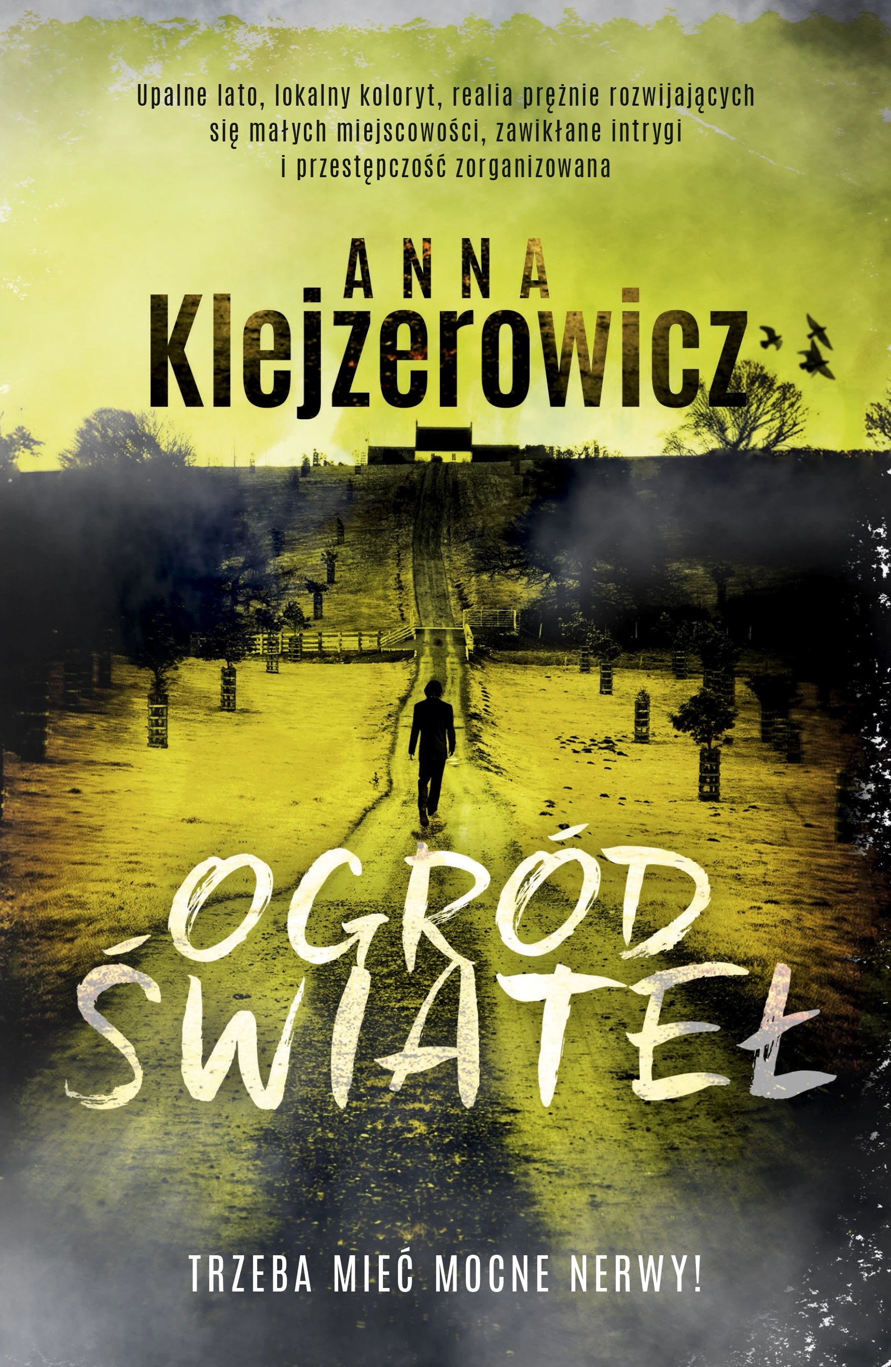 Książka - Ogród świateł