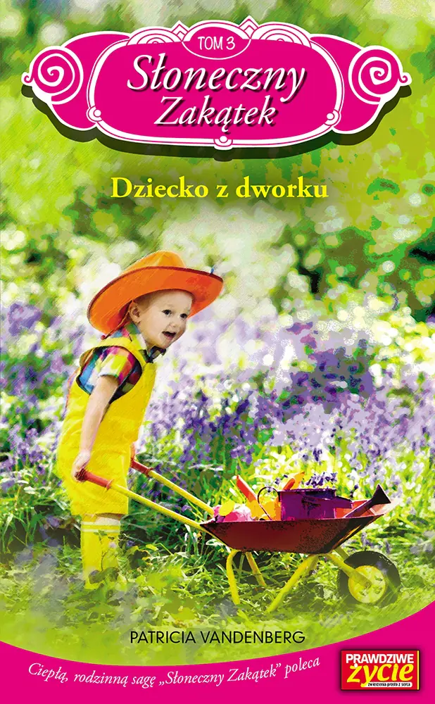 Książka - Dziecko z dworku. Słoneczny Zakątek. Tom 3