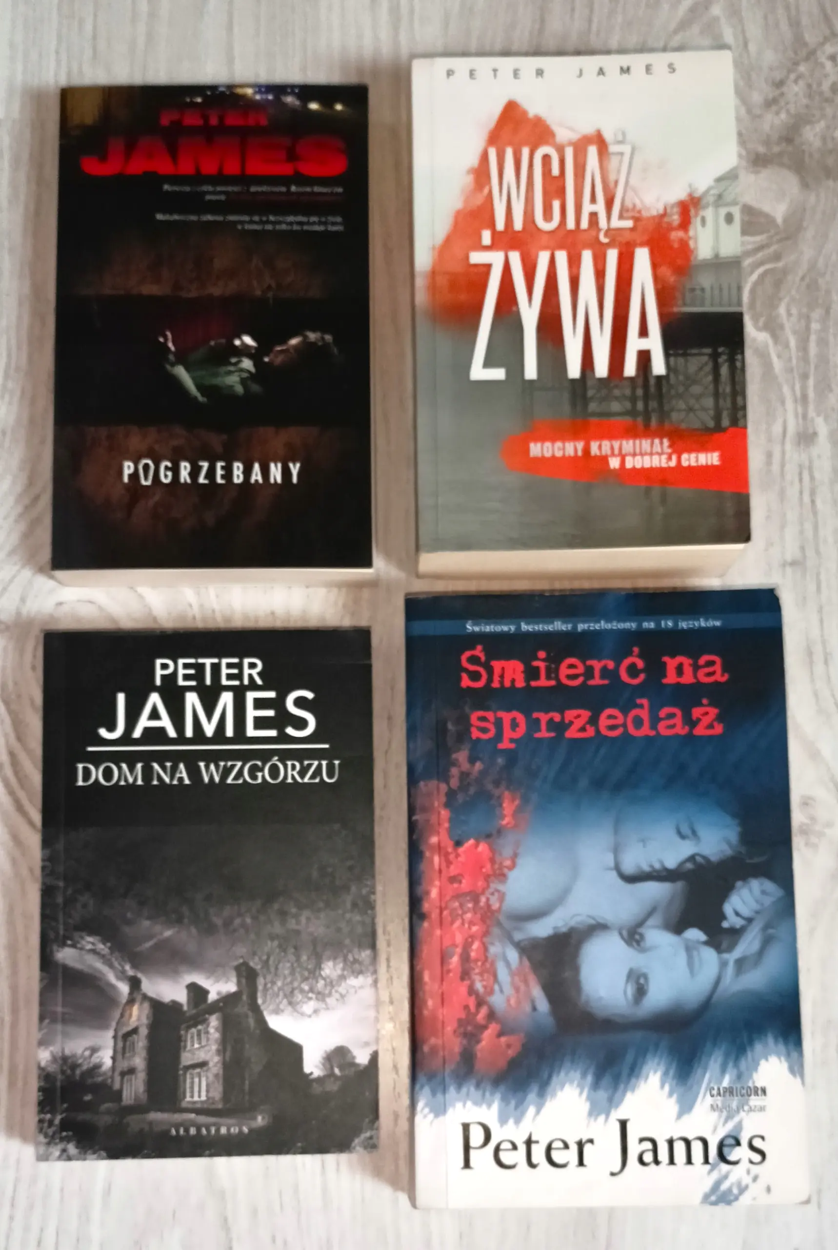 Książka - Dom na wzgórzu (pocket)