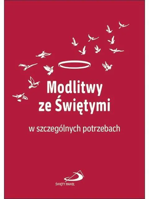 Książka - Modlitwy ze świętymi w szczególnych potrzebach