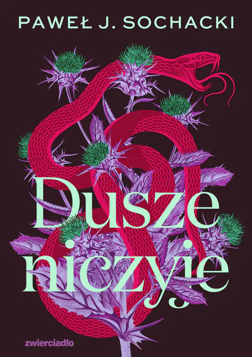 Książka - Dusze niczyje. Wielkie Litery