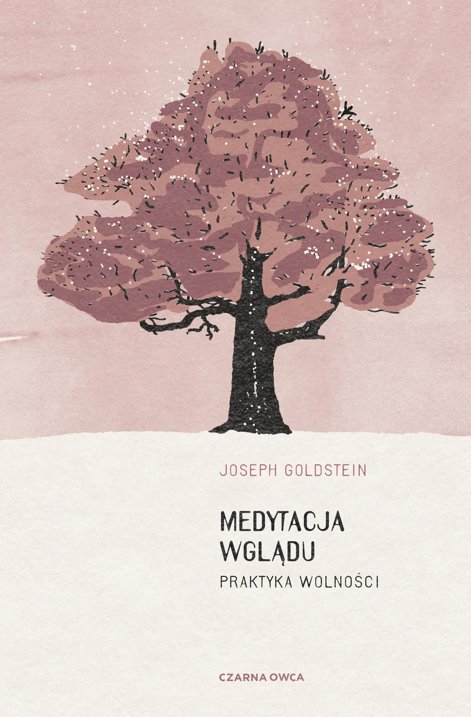 Książka - Medytacja wglądu. Praktyka wolności