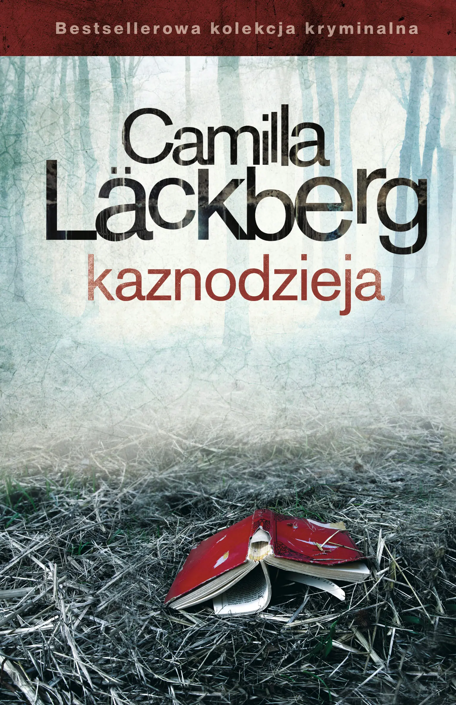 Książka - Kaznodzieja