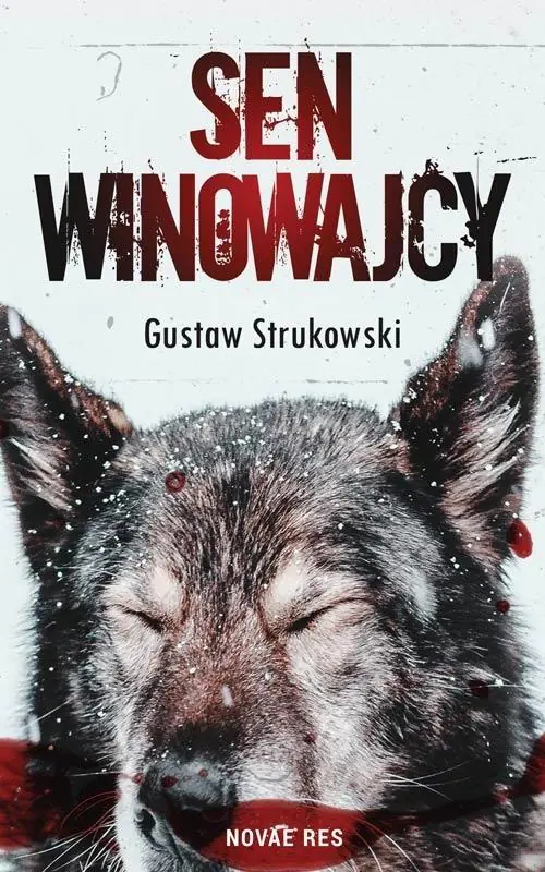 Książka - Sen winowajcy