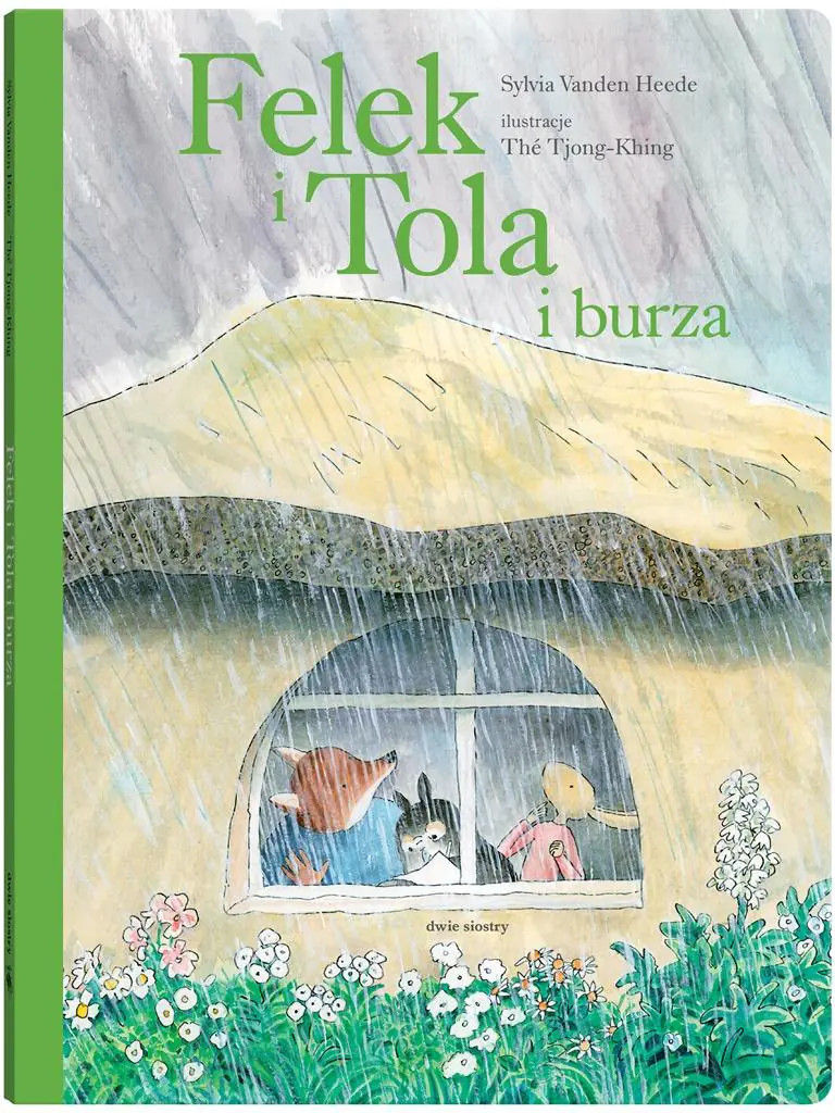 Książka - Felek i Tola i burza