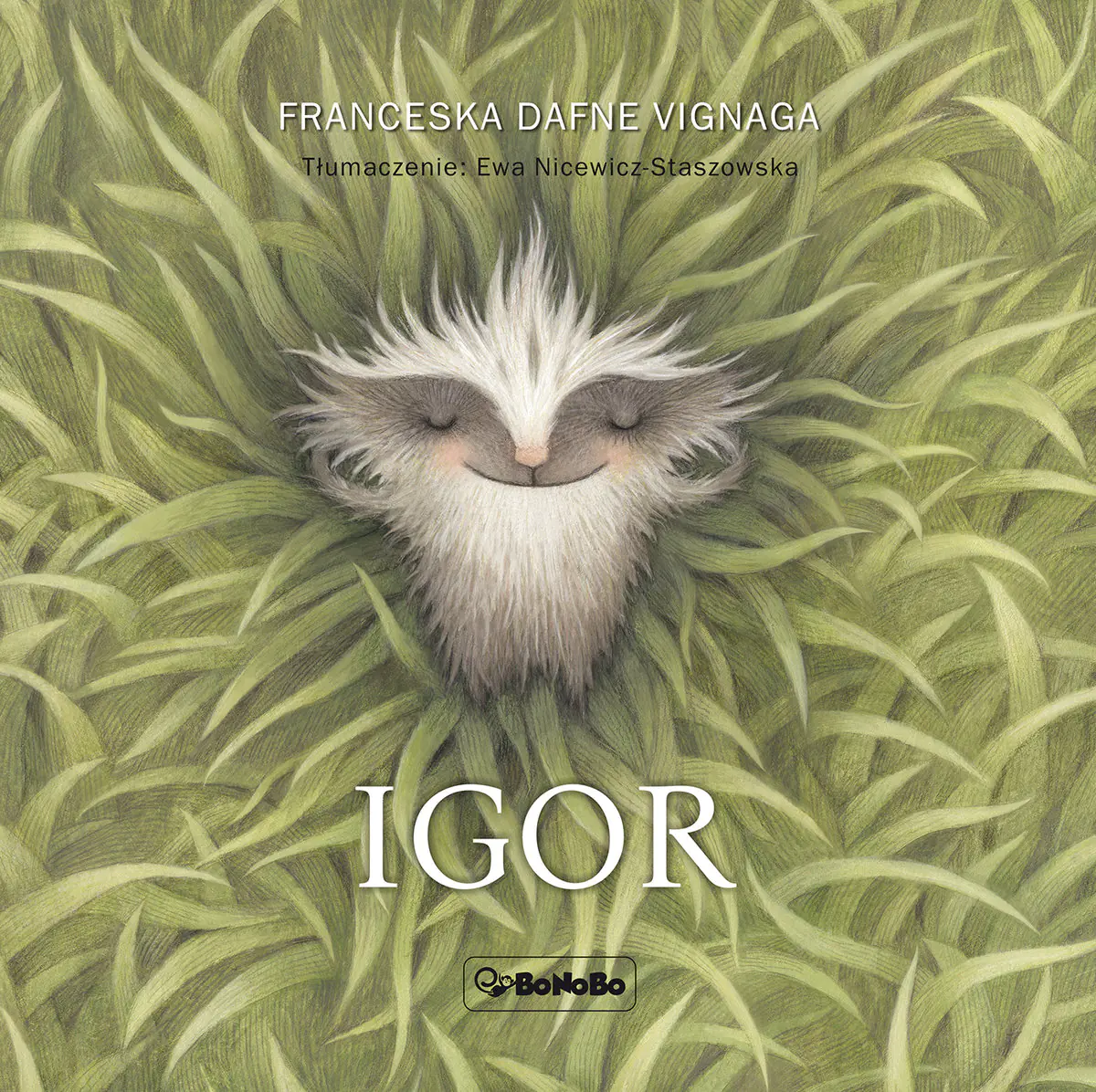 Książka - Igor
