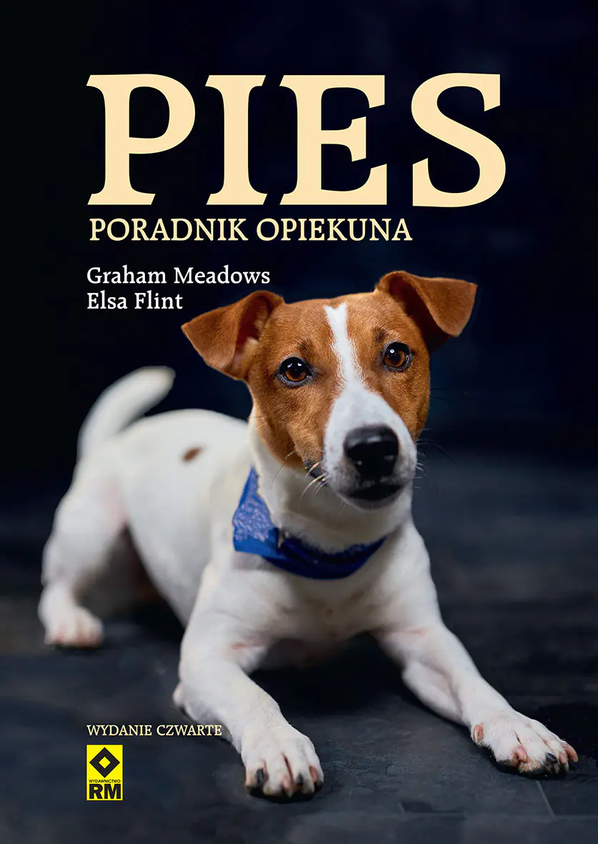 Książka - Pies. Poradnik opiekuna